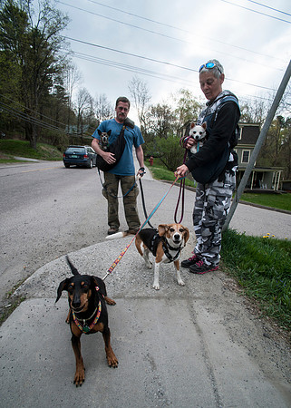 0422_TA_Dogs-2872