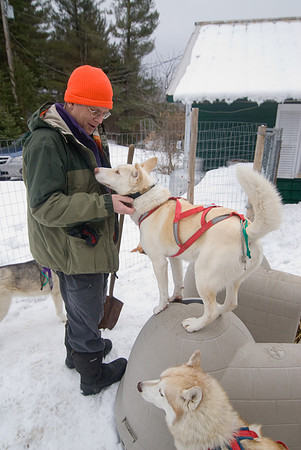 DogSledding-0974