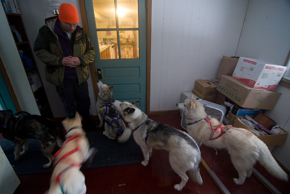 DogSledding-0982