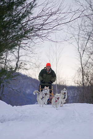 DogSledding-1133
