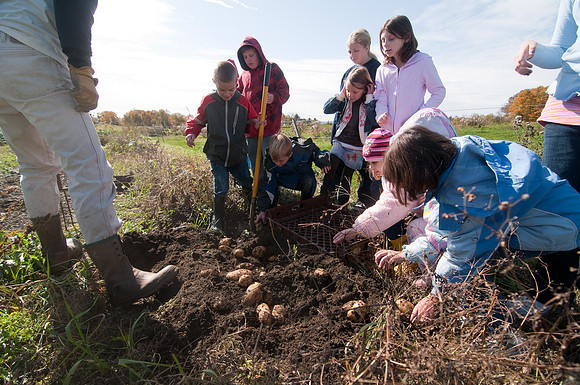 FarmVisit-5425