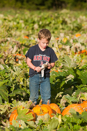 LincolnPumpkins-9919