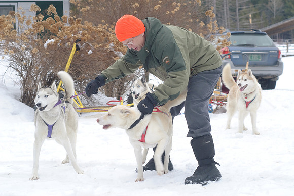 DogSledding-1035