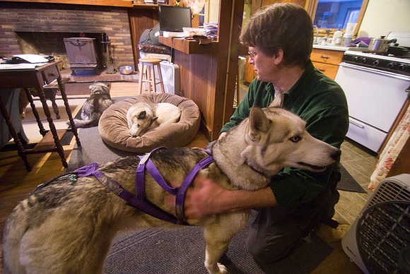 DogSledding-1219