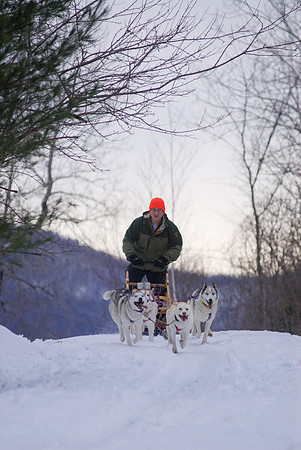 DogSledding-1134