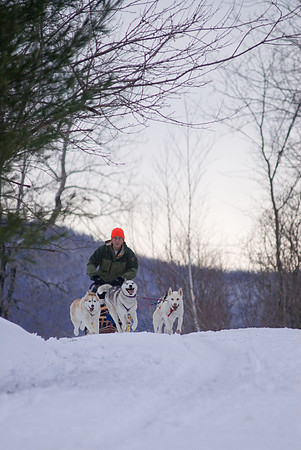 DogSledding-1132