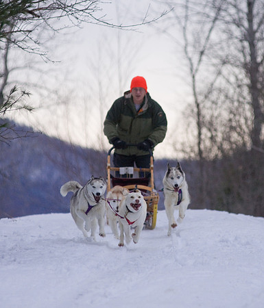 DogSledding-1138