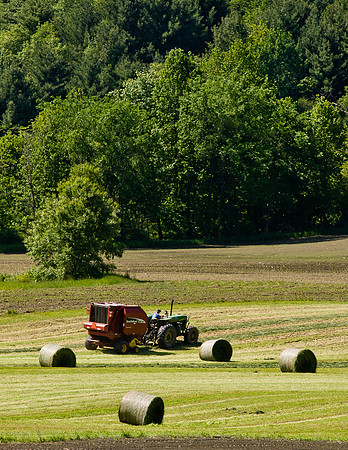 Haying-0162