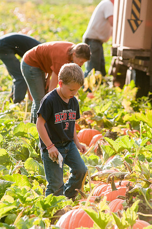 LincolnPumpkins-9932