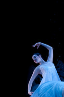 Nutcracker_TCB2034