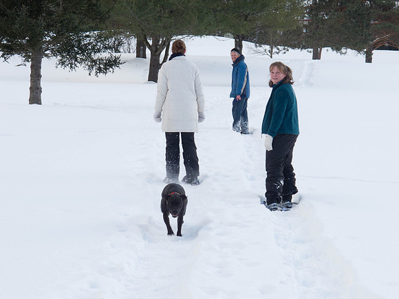 SnowShoe-1356