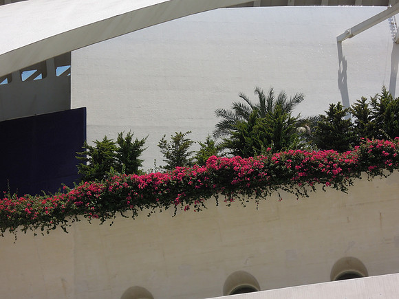 Valencia_013