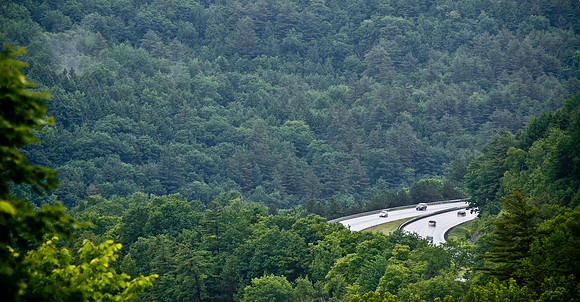Roads&Trees-6289